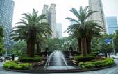 Туры в отель YM Gold Olives Harmony International Hotel