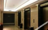 Туры в отель Dragon Dream Hotel