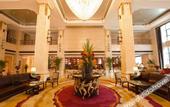 Туры в отель Dragon Dream Hotel