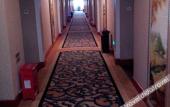 Туры в отель Vienna Hotel (Shenzhen Songgang Liye Road)