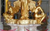 Туры в отель Vienna International Hotel (Shenzhen Songgang Metro Station)