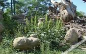 Туры в отель Yema Silk Road Inn