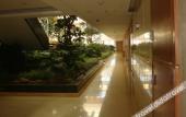 Туры в отель kunming Airport Hotel