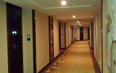 Туры в отель Vienna International Hotel (Foshan Flower World)
