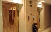 Туры в отель Vienna International Hotel (Foshan Flower World)