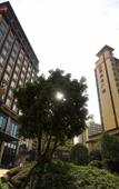 Туры в отель Kaisa Keyu Resort (Shenzhen Dapeng)