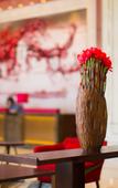 Туры в отель Kaisa Keyu Resort (Shenzhen Dapeng)