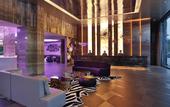Туры в отель Atour X Hotel, Shanghai International Tourism Resort Safari Park