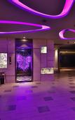 Туры в отель Atour X Hotel, Shanghai International Tourism Resort Safari Park
