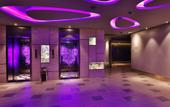 Туры в отель Atour X Hotel, Shanghai International Tourism Resort Safari Park