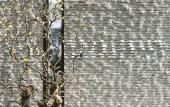 Туры в отель The Hidden House Hotel(Chengdu DuFu Thatched Cottage Southwest University of Finance)