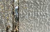 Туры в отель The Hidden House Hotel(Chengdu DuFu Thatched Cottage Southwest University of Finance)