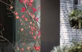 Туры в отель The Hidden House Hotel(Chengdu DuFu Thatched Cottage Southwest University of Finance)