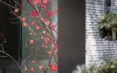 Туры в отель The Hidden House Hotel(Chengdu DuFu Thatched Cottage Southwest University of Finance)