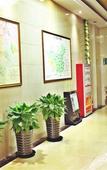 Туры в отель GreenTree Inn (Beijing Xizhihe Commercial Center)