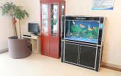 Туры в отель ELong Ruiyun Hotel (Sanhe Yanjiao Station CNOOC Street Store)