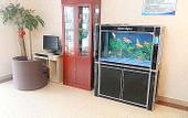 Туры в отель ELong Ruiyun Hotel (Sanhe Yanjiao Station CNOOC Street Store)