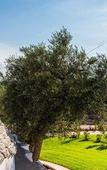 Туры в отель Borgo Canonica