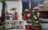 Туры в отель Garden Palace Boutique Hotel