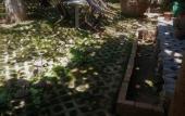 Туры в отель Garden Palace Boutique Hotel
