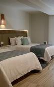 Туры в отель Hotel Velvet Plaza