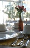 Туры в отель Hotel Velvet Plaza