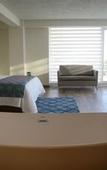 Туры в отель Hotel Velvet Plaza
