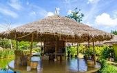 Туры в отель Asita Eco Resort