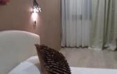 Туры в отель Hotel LePinede