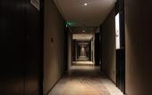 Туры в отель Shanshui S Hotel (Wuhan Guanggu Avenue Media College)