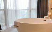 Туры в отель Shanshui S Hotel (Wuhan Guanggu Avenue Media College)