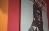 Туры в отель YAWP! backpackers - Hostel