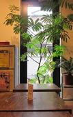 Туры в отель Kangaroo Hotel SIDE B