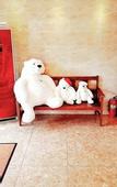 Туры в отель Hotel G
