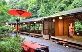 Туры в отель Kyoto Takao Kanko Hotel