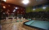 Туры в отель Kyoto Takao Kanko Hotel