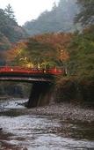 Туры в отель Kyoto Takao Kanko Hotel