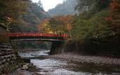 Туры в отель Kyoto Takao Kanko Hotel