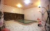 Туры в отель Kyoto Takao Kanko Hotel