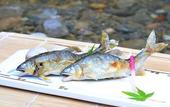 Туры в отель Kyoto Takao Kanko Hotel