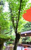 Туры в отель Kyoto Takao Kanko Hotel