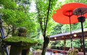 Туры в отель Kyoto Takao Kanko Hotel
