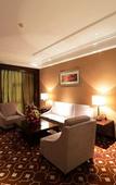 Туры в отель New Town Hotel