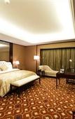 Туры в отель New Town Hotel