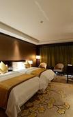 Туры в отель New Town Hotel