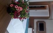 Туры в отель Exelans Hotel
