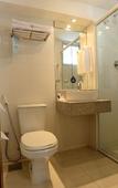 Туры в отель Nobile Hotel Juiz de Fora