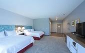 Туры в отель Hampton Inn Buffalo-Hamburg