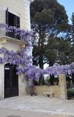 Туры в отель Cefalicchio B&B