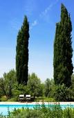 Туры в отель Cefalicchio B&B